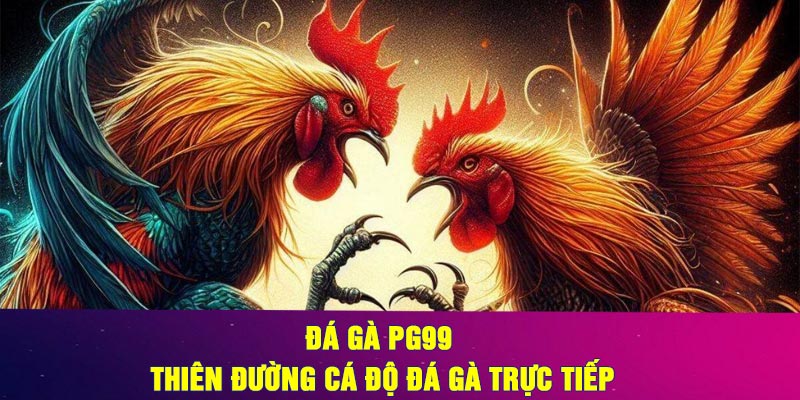 Tổng quan về sảnh chọi gà PG99