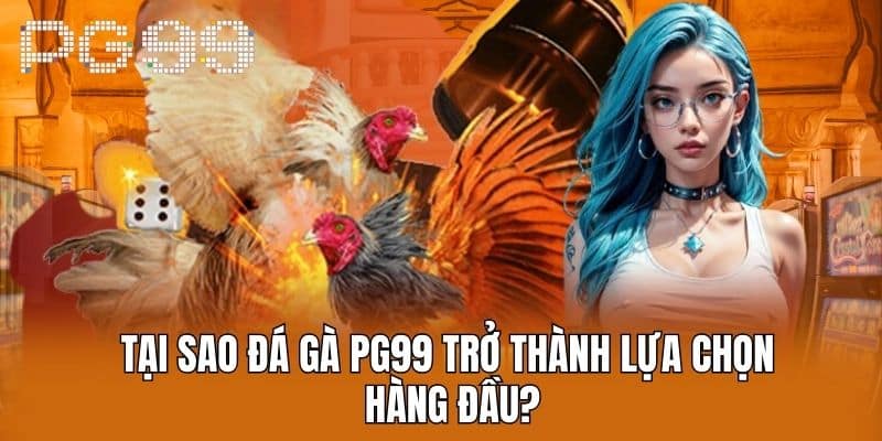 Những hình thức đá gà được yêu thích nhất